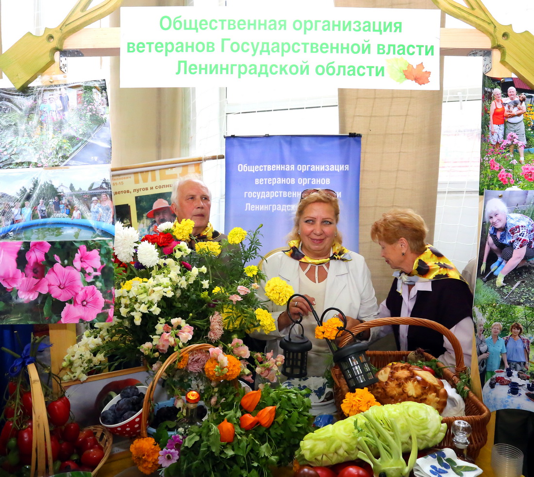 Конкурс Ветеранское подворье 2018 Конкурс Ветеранское подворье 2018